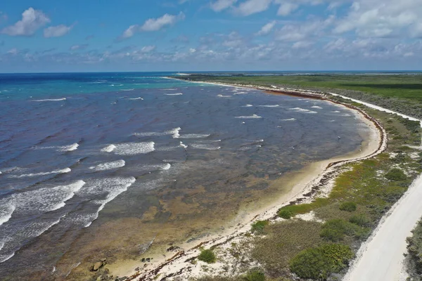 6月メキシコでのコズメルの風景5 2019 Photo Credit マーティ ジャン — ストック写真