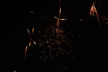 Gece gökyüzünde parlak havai fişekler Fotoğraf: Marty Jean-Louis