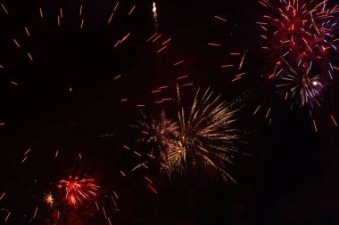 Gece gökyüzünde parlak havai fişekler Fotoğraf: Marty Jean-Louis