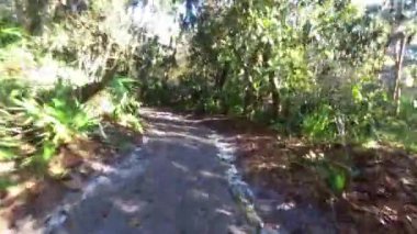 Parkta bisiklet sürerken çekilen görüntüler