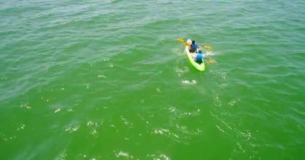 Imágenes Aéreas Personas Navegando Kayak Mar Tranquilo — Vídeos de Stock