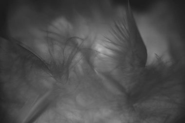                                Yumuşak tüylerden, tüylerden ve tüylerden yapılmış renkli bir gece lambasını kapat.