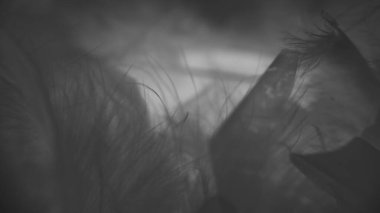 Kışın alkollü içecek - güzel bir arka plan