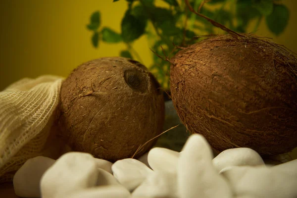 Tekstura Kokosowa Zbliżenie Piękne Kolory Zbliżenie Zapalonych Orzechów Kokosowych — Zdjęcie stockowe