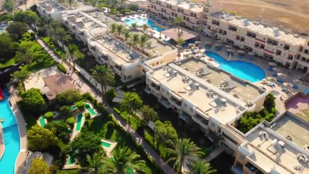 Drone vlucht over een prachtig zwembad en palmbomen in Egypte — Stockvideo
