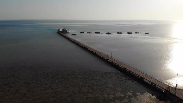 Manhã de uma mulher no cais. Voando um drone sobre o mar e iates — Vídeo de Stock