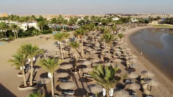 Drone flygning över palmer och hav i Egypten — Stockvideo