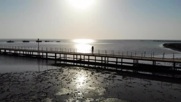 Menina bonita caminha no cais e gosta do mar. Voo de drone — Vídeo de Stock