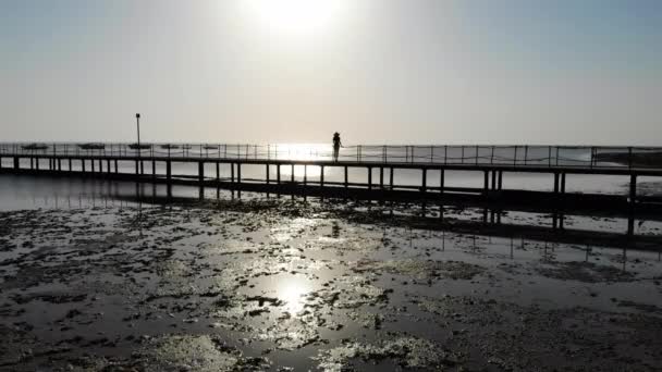 Mooi meisje loopt op de pier en geniet van de zee. Drone vlucht — Stockvideo