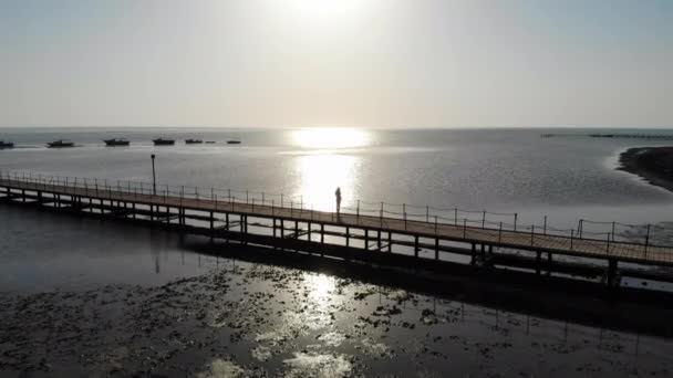 Schöne Mädchen geht auf der Seebrücke und genießt das Meer. Drohnenflug — Stockvideo