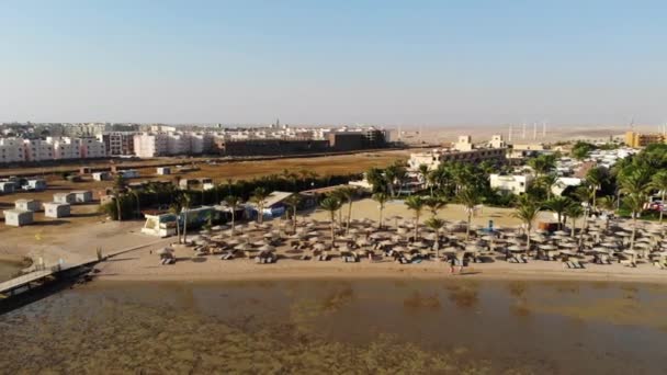 Hermoso paisaje en Egipto sobre palmeras y piscina. Vuelo con drones — Vídeo de stock