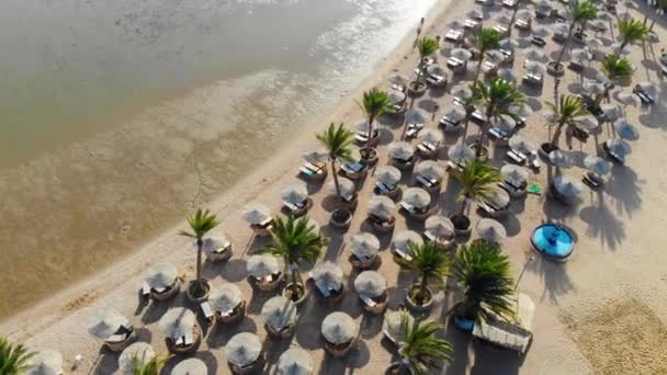 Piękny krajobraz w Egipcie nad palmami i basenem. Lot dronem — Wideo stockowe