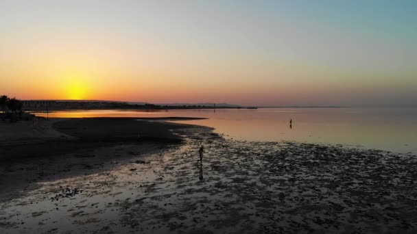 Chica camina por el mar con una hermosa puesta de sol. Avión no tripulado — Vídeo de stock