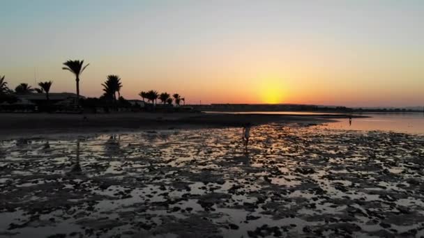 Menina caminha pelo mar com um belo pôr do sol. Vôo drone — Vídeo de Stock