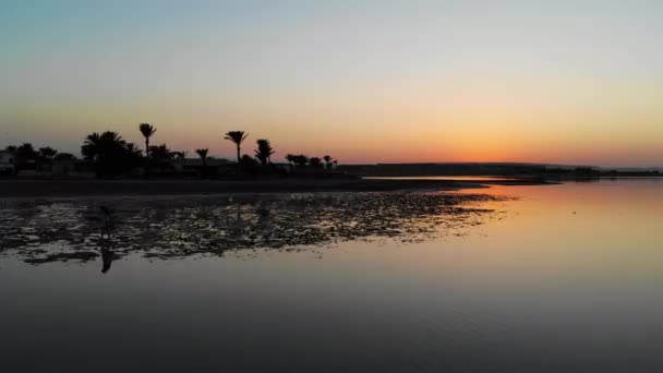 Frauen spazieren am Meer mit einem wunderschönen Sonnenuntergang. Flugdrohne — Stockvideo