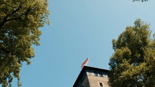 Bandeira de Numberg em um fundo de céu azul e árvores verdes — Vídeo de Stock