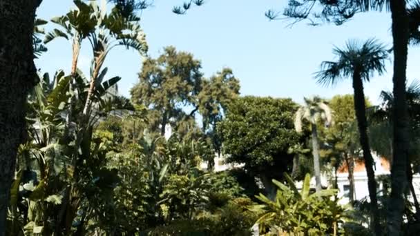 Belo parque em Mônaco, Monte Carlo. Dia quente do verão — Vídeo de Stock