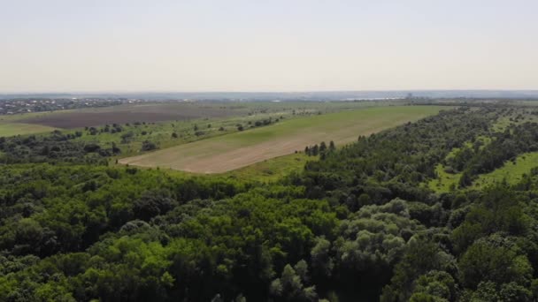 Drone vlucht over het meer en het park. Prachtige landschappen — Stockvideo