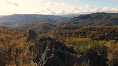 Güzel doğada insansız hava aracı uçuşu. Avrupa 'da altın sonbahar