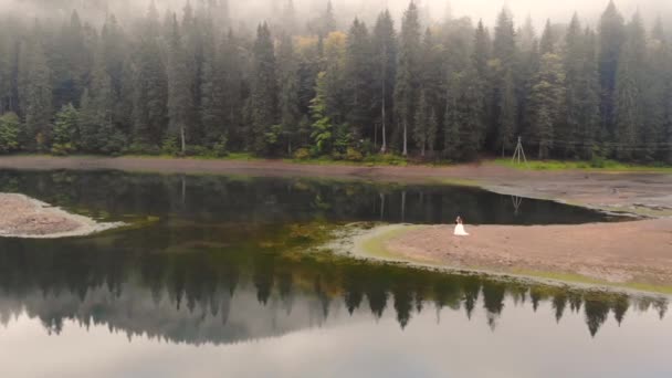 Drone vlucht over Lake Synevyr Mountains in de zomer zonnige dag. Prachtige natuur — Stockvideo