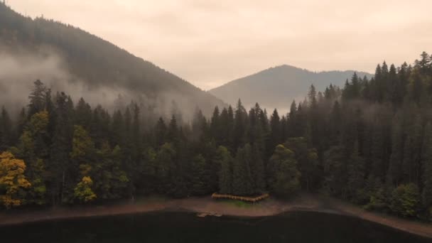 Drohnenflug über dem Synevyr-Gebirge an einem sonnigen Sommertag. Schöne Natur — Stockvideo