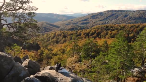 Voo de drone em belas paisagens. Outono dourado na Europa — Vídeo de Stock