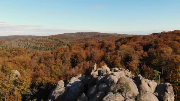 Vol de drone sur de beaux paysages. Automne doré en Europe — Video