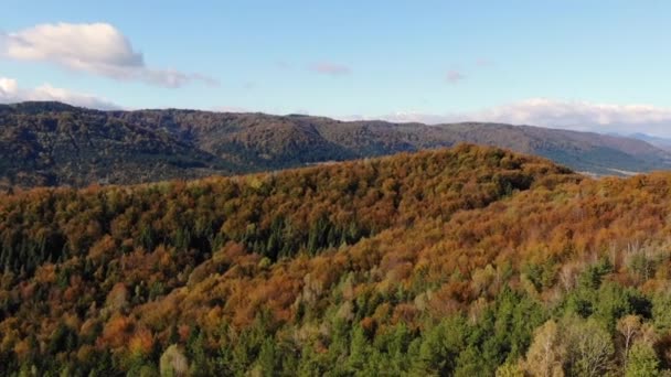 Voo de drone em bela natureza. Outono dourado na Europa — Vídeo de Stock