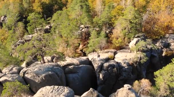 Drohnenflug in schöner Natur. Goldener Herbst in Europa — Stockvideo