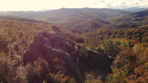 Voo de drone em bela natureza. Outono dourado na Europa — Vídeo de Stock