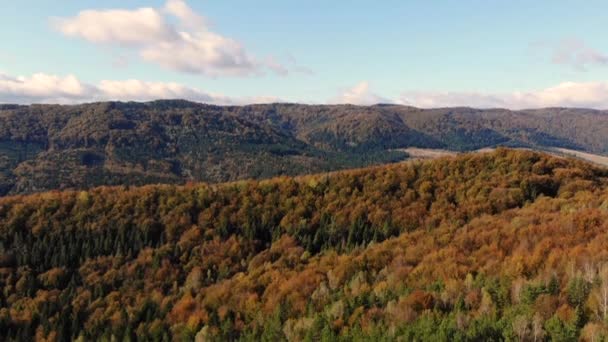 Lot dronem po pięknej naturze. Złota jesień na Karpatach Ukrainy — Wideo stockowe