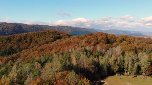 Voo de drone em bela natureza. Outono dourado nos Cárpatos ucranianos — Vídeo de Stock