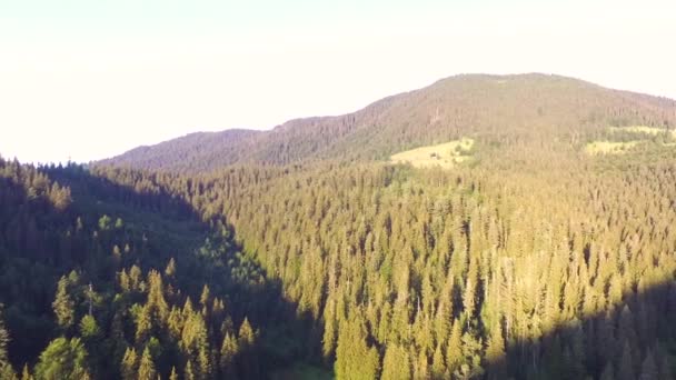 Drone flight over Lake Synevyr Mountains in summer sunny day. Beautiful nature — Stock Video