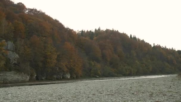Automne doré dans les montagnes. Belle nature. Feuilles jaunes et rivière 