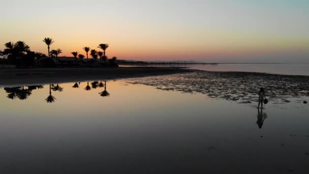 女人走在海边,夕阳西下.无人驾驶飞机 — 图库视频影像