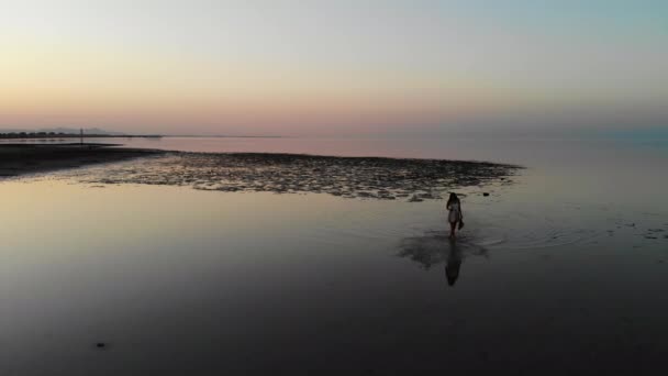 女人走在海边,夕阳西下.无人驾驶飞机 — 图库视频影像