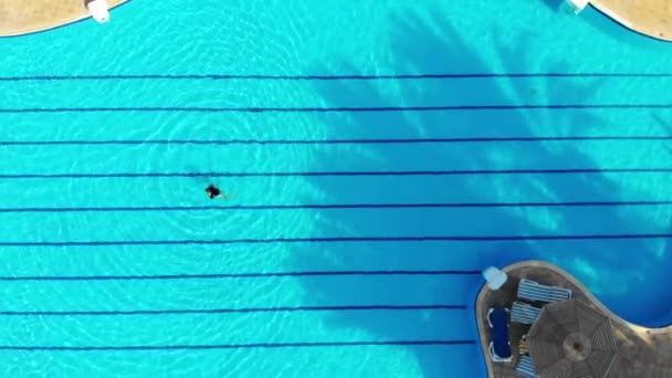 Krásná dívka plave v bazénu a má scenérie — Stock video