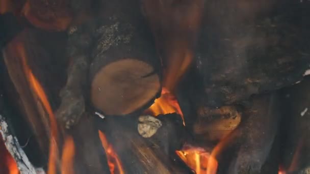 Ein Feuer brennt auf Apfelbrennholz. Räucherschinken zu Hause — Stockvideo
