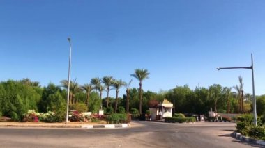 Güneşli Mısır 'da gün batımı. Şeyh Sharm. Palmiye ağaçları, yol, yüzükler, çiçekler