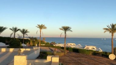 Palmiye ağaçları. Mısır, Kızıl Deniz, Kayalar ve Mavi Deniz. Sharm El Sheikh, Mısır 'daki Lagoon Körfezi Sahili. Kızıl Deniz. Sharm El Sheikh Sahili ve Kızıl Deniz 'in panoramik manzarası