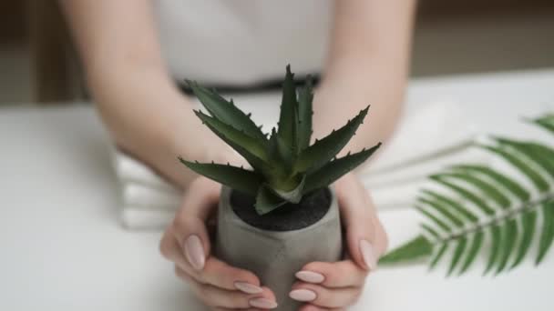 Donna che tiene il vaso da fiori in mano sullo sfondo del tavolo — Video Stock