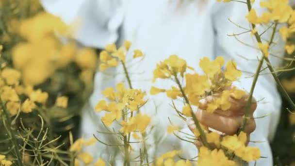 Vackra gula blommor i händerna på en ung kvinna med kaukasiskt utseende — Stockvideo