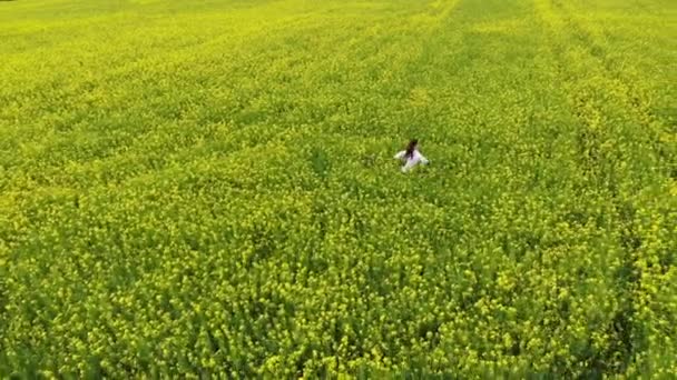 快乐的女人每次飞舞都带着黄色的花朵在花朵中散步。春天的强奸无人机飞越美丽的大自然 — 图库视频影像