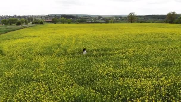 Mujer feliz corriendo en un campo floreciente amarillo y verde. Violación de primavera. Vuelo en avión no tripulado sobre hermosa naturaleza. Paisajes de Europa — Vídeos de Stock