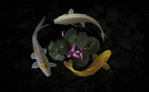 Yeşil bitkilerle suni havuzlarda koi balığı.