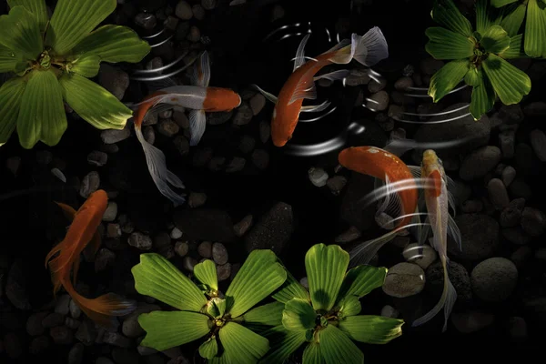 Koi Fische Künstlichen Teichen Mit Grünen Pflanzen — Stockfoto