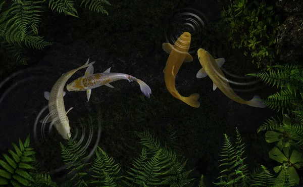 Koi Fish Artificial Ponds Green Plants — Stock Photo, Image