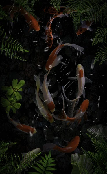 Yeşil bitkilerle suni havuzlarda koi balığı.