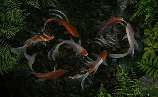 Peixe Koi Lagoas Artificiais Com Plantas Verdes — Fotografia de Stock