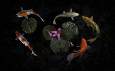 Yeşil bitkilerle suni havuzlarda koi balığı.